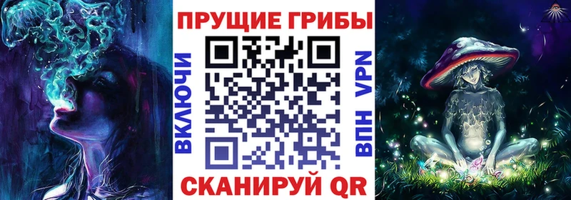 Галлюциногенные грибы прущие грибы Зубцов